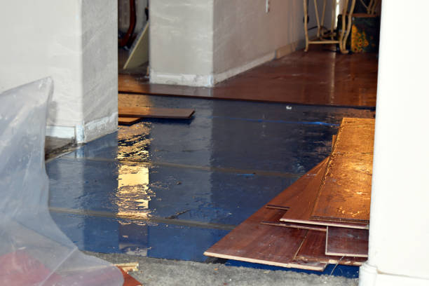 Professional Basement Water Removal technician working in Plainview, NY